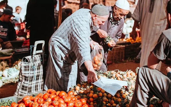 صادرات قطاع الفلاحة والصناعة الغذائية بلغت 81,23 مليار درهم خلال سنة 2022