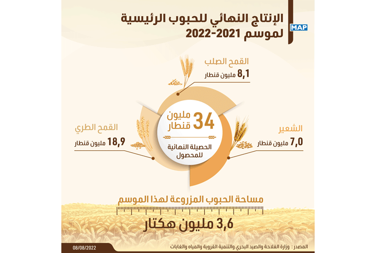 الإنتاج النهائي للحبوب في المغرب يقدر بـ 34 مليون قنطار