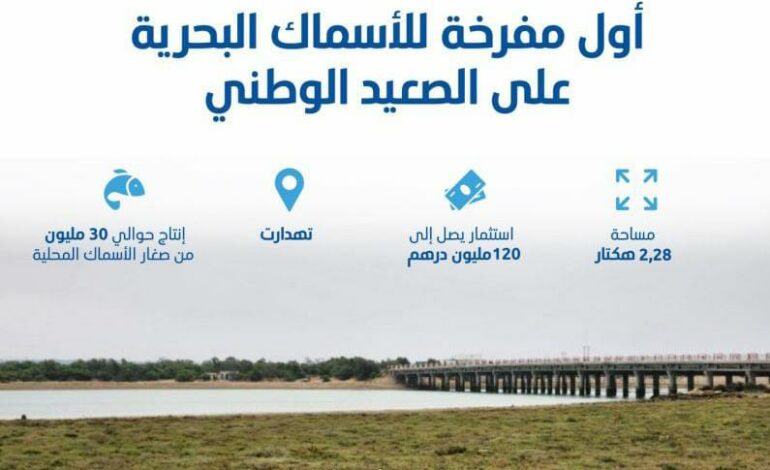 المدير العام للمركز الجهوي للاستثمار بالشمال يتحدث عن إطلاق أول مفرخة للأسماك البحرية في المغرب